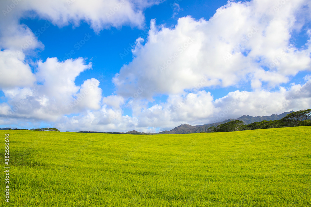 Jurassic  Ranch, Kauai, Hawaii
