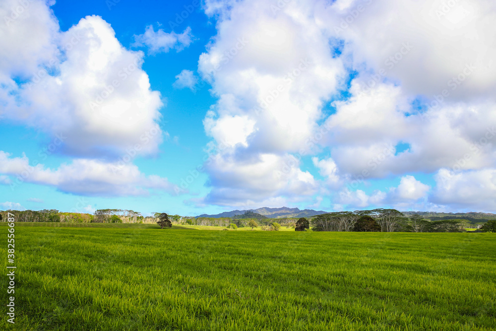 Jurassic  Ranch, Kauai, Hawaii
