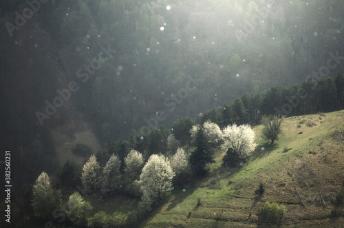 Mountain spring landscape