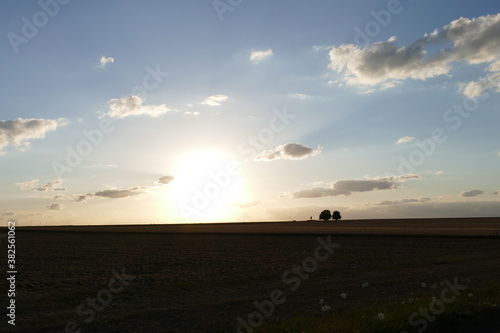 Landschaften auf den Feldern mit zwei B  umen im Hintergrund am Abend