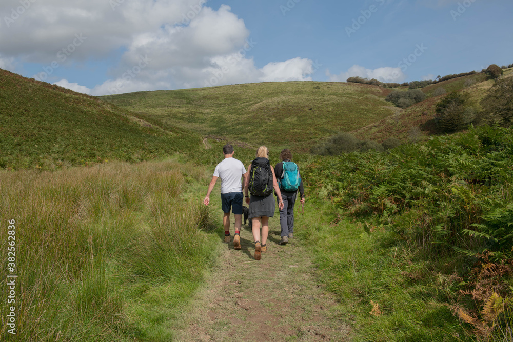 Three Adult Hikers and a Black Schnoodle Dog Walking along a Dirt Track on Exmoor National Park by the River Barle at Simonsbath in Rural Somerset, England, UK