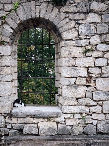 wall