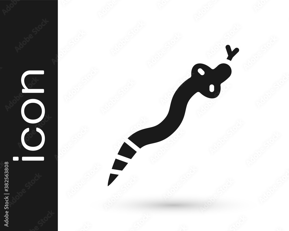 Black Snake icon isolated on white background. Vector. Black Snake icon isolated on white background. Vector.