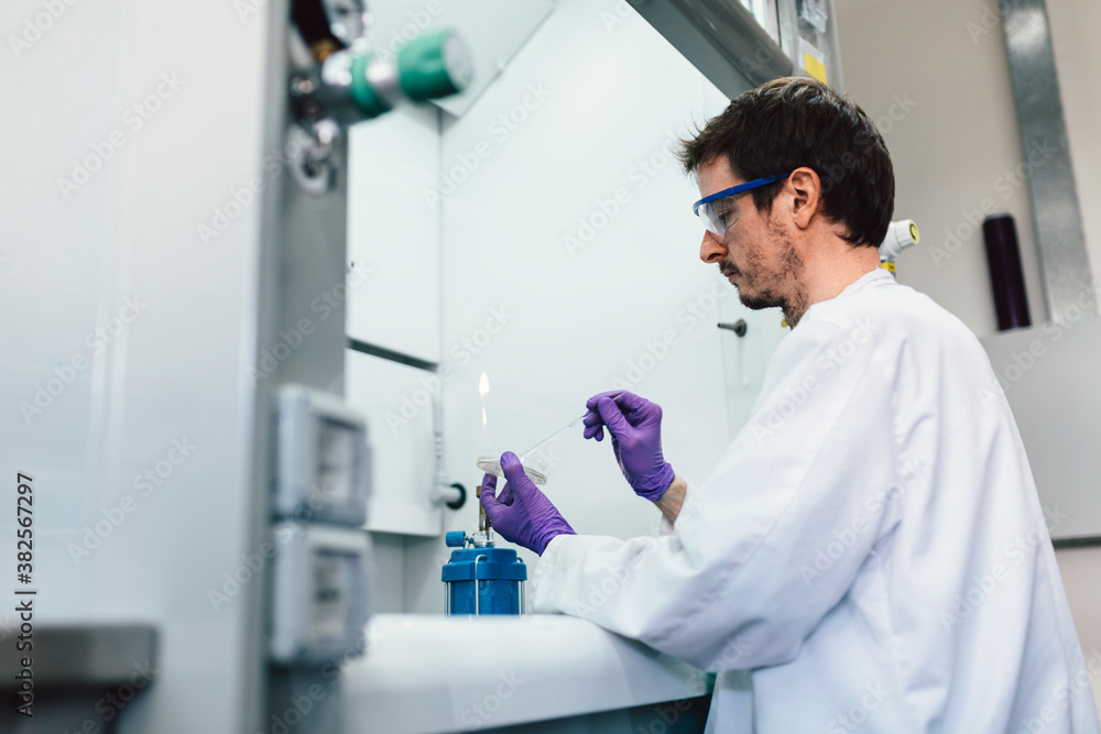 Biologist Working in a Professional Laboratory Biologist Working in a Professional Laboratory