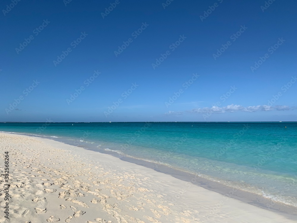 晴れた日の美しいカリブのビーチ