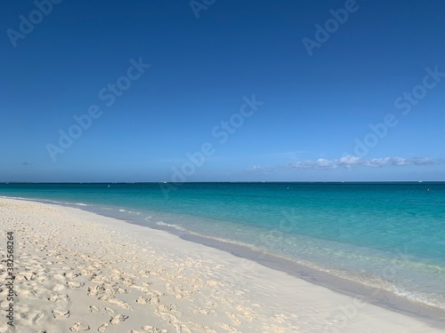 晴れた日の美しいカリブのビーチ