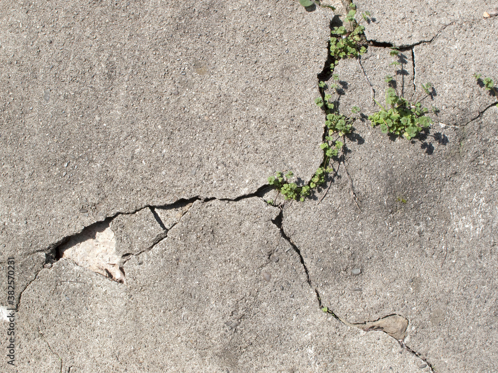 Fototapeta premium ヒビ割れたコンクリート