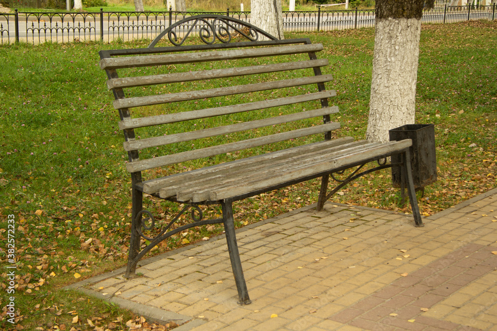 bench near the path of paving stones in a quiet city park early autumn on a sunny day on a background of tree