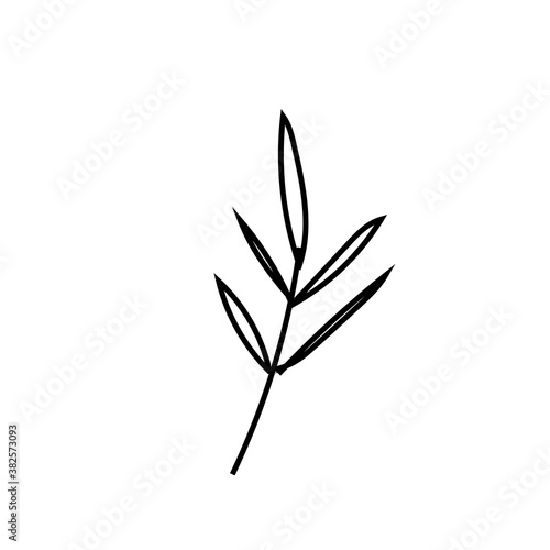 Vector rosemary branch with a black line.Simple food and cooking illustration in doodle style on a white isolated background hand drawn.Design for social networks,web,banners,menus,recipes.