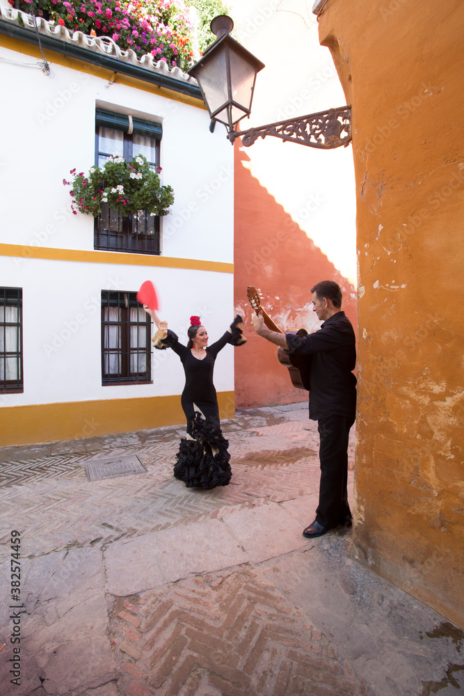 Flamenco Dancer. Spain.