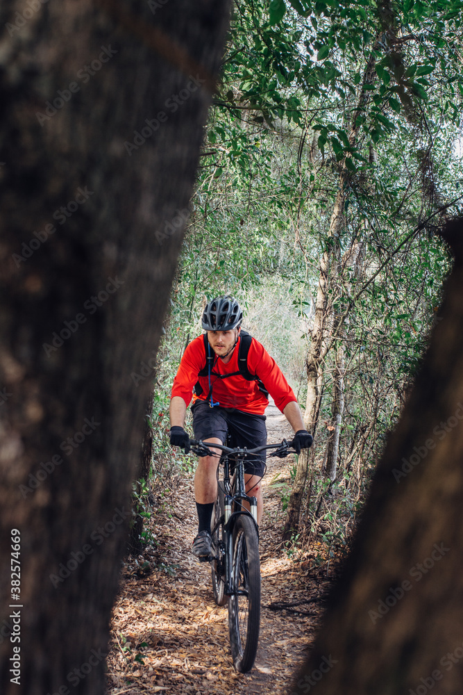 Male mountain bike rider on a forest trail Male mountain bike rider on a forest trail
