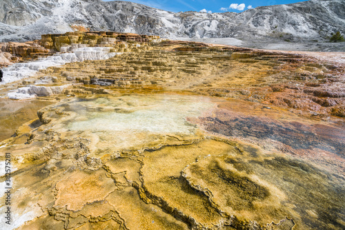 hydrothermal areas of mammoth hot springs in yellowstone national park, wyoming in the usa