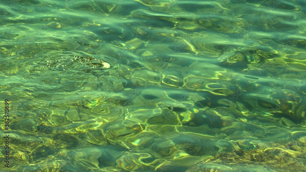 Obraz premium Fish under water. Cyprus. Pathos. Beach.