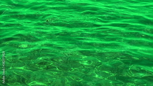 Fish under water. Cyprus. Pathos. Beach.