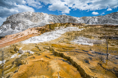 hydrothermal areas of mammoth hot springs in yellowstone national park, wyoming in the usa