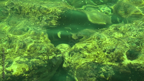 Fish under water. Cyprus. Pathos. Beach. © Олег Глазков