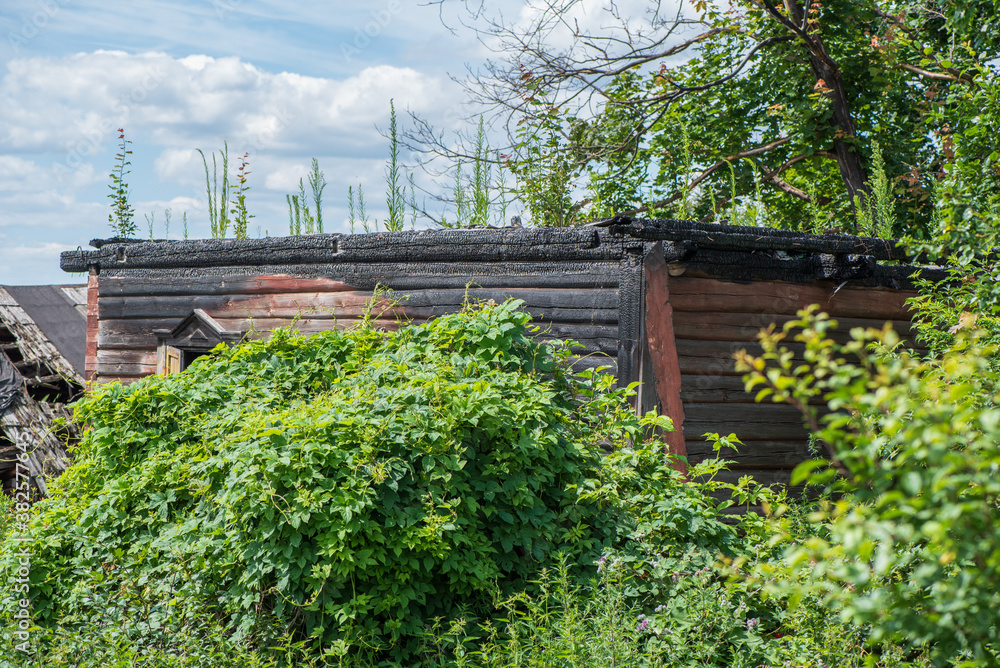 Burnt-out village house overgrown with weeds. Burnt-out village house overgrown with weeds.