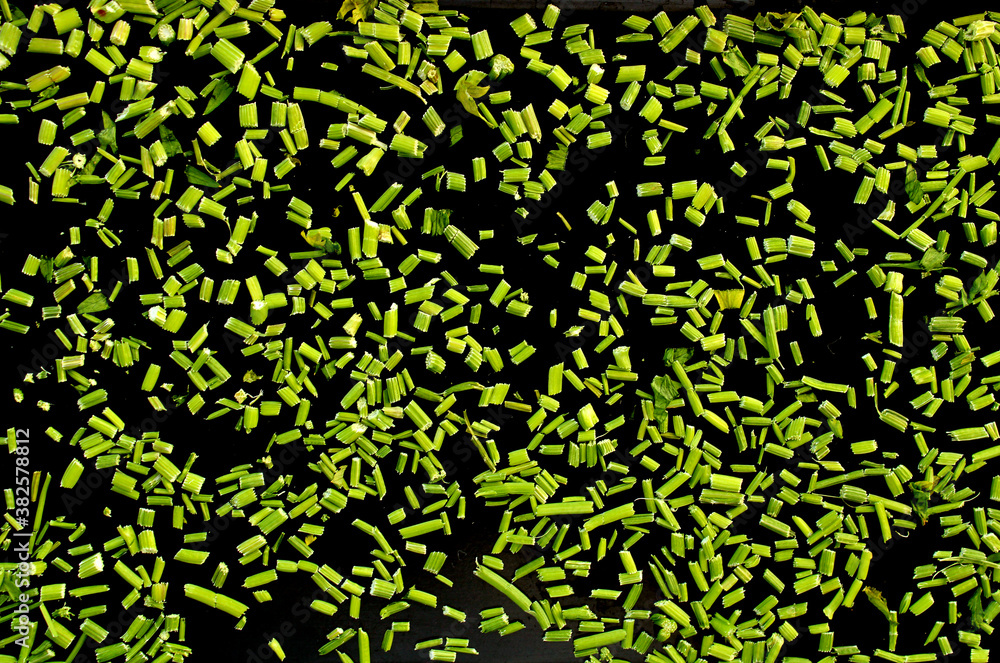background with chopped herbs background with chopped herbs