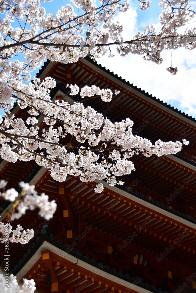 成相寺 成相寺