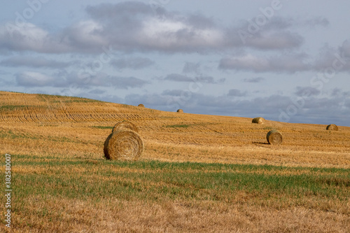 Hay Bales after fall harvest on the Canadian Prairies.