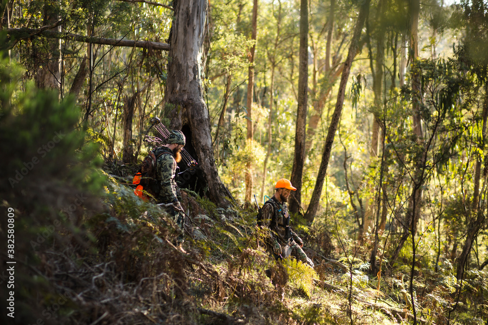 Two Deer Hunters in the Bush Two Deer Hunters in the Bush