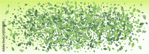 Olive Leaf Motion Panoramic Green Background 