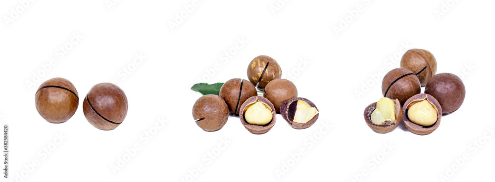 Fresh raw brown round macadamia nuts set isolated on white background. Fresh raw brown round macadamia nuts set isolated on white background.