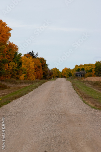 Back country road on the Canadian prairies in fall.