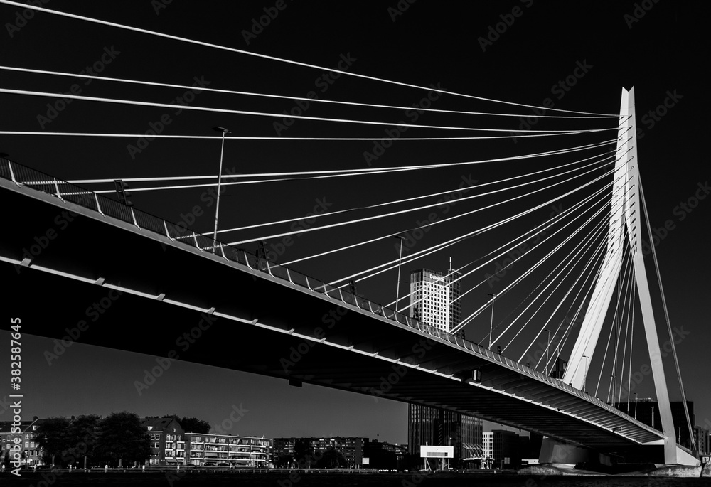 Obraz premium Erasmusbridge Rotterdam 