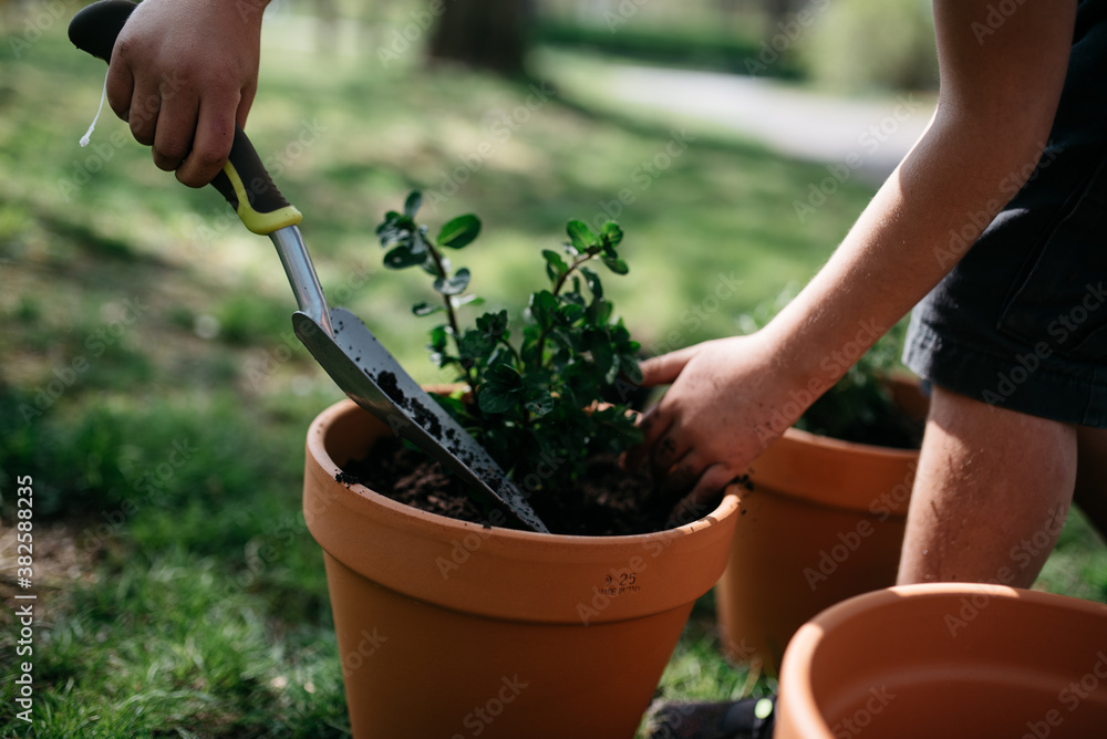 little child planting herbs in pots little child planting herbs in pots