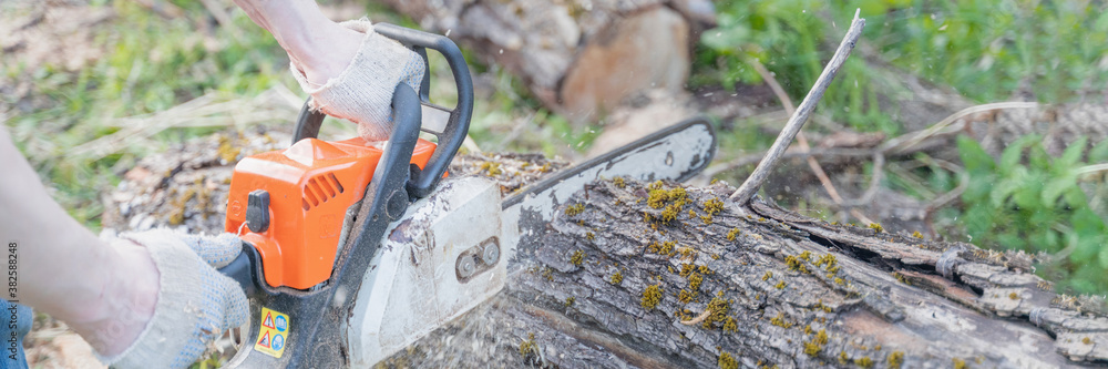 farmer sawing a tree with a chainsaw, selective focus, focus on the foreground, blurry background