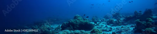 Panel kuchenny z motywem under water ocean / landscape underwater world, scene blue idyll nature