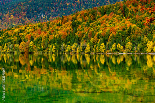 Spiegelung eines herbstlichen Waldes im See