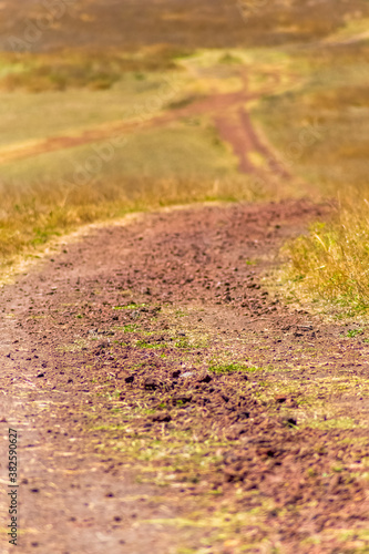 path in the field