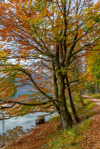 Bunte Herbstlandschaft am Walchensee