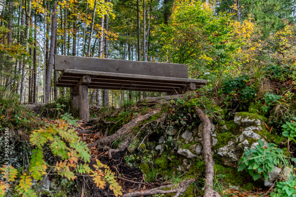 Holzbank in einem Wald lädt zum Verweilen ein Holzbank in einem Wald lädt zum Verweilen ein