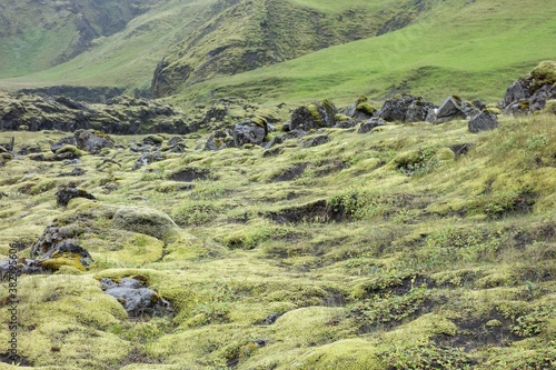 Wide angle landscape of Iceland in Kalfafell region with stones in grass photo