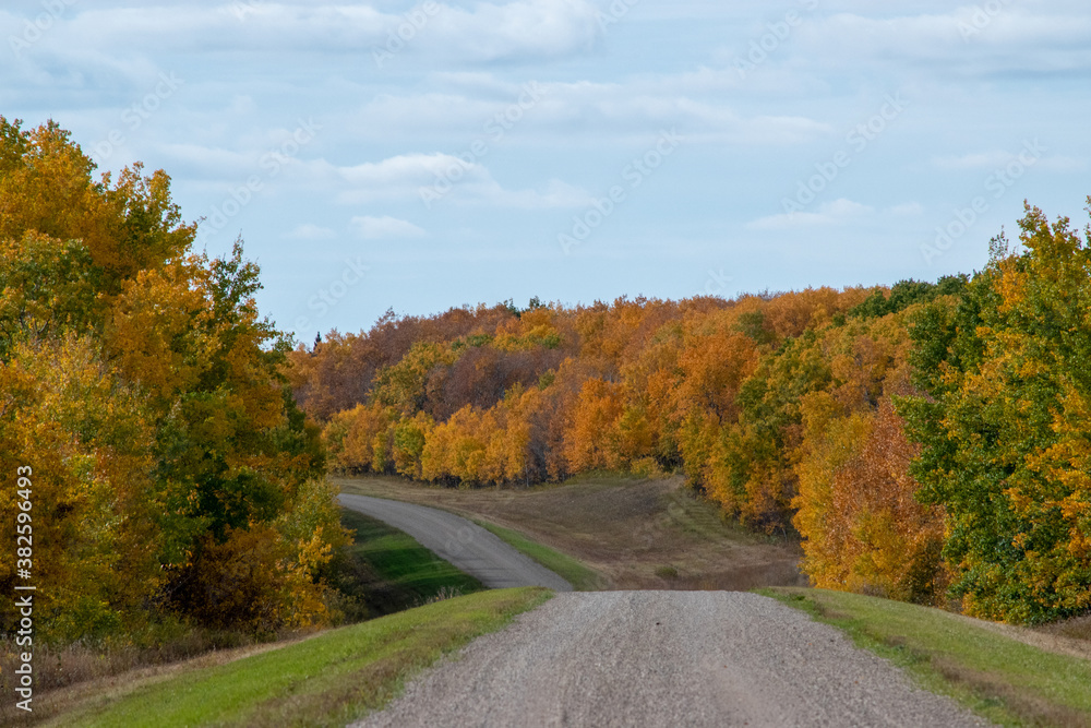 Back country road on the Canadian prairies in fall. Back country road on the Canadian prairies in fall.