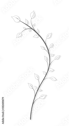 Vintage drawing of a branch with leaves in gray in vintage style on a white background
