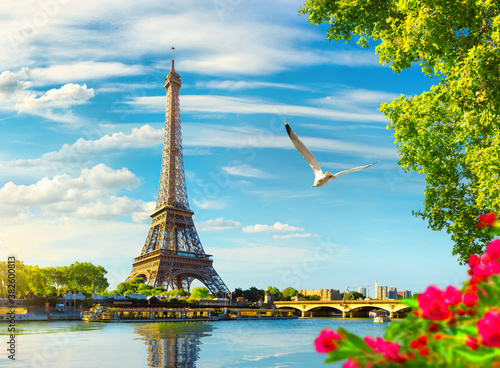 Seine in Paris with Eiffel Tower