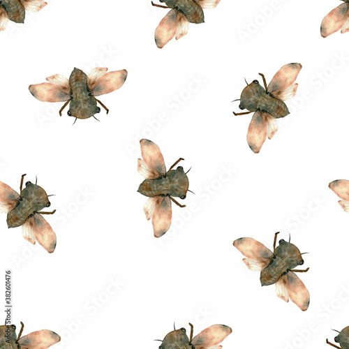 Fototapeta Naklejka Na Ścianę i Meble -  Oriental japan vintage magic watercolor seamless pattern with cicada in muted vintage taupe colors.