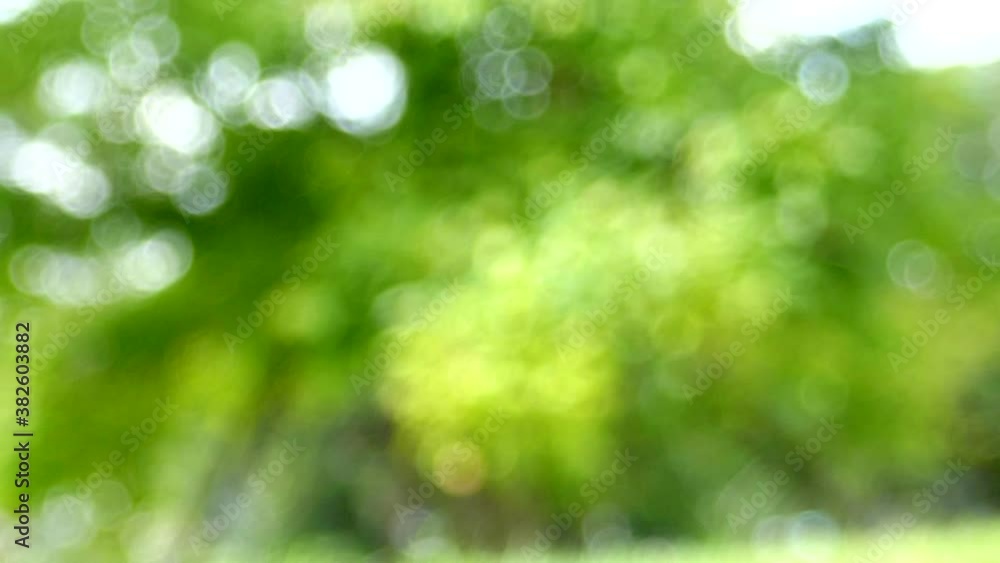 Bokeh Nature background out of focus. Bokeh Nature background out of focus.