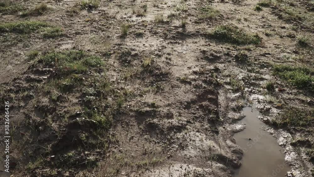 Earth with clay and rare grass Earth with clay and rare grass
