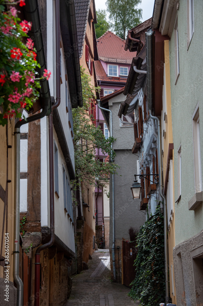 Fototapeta premium Tübingen