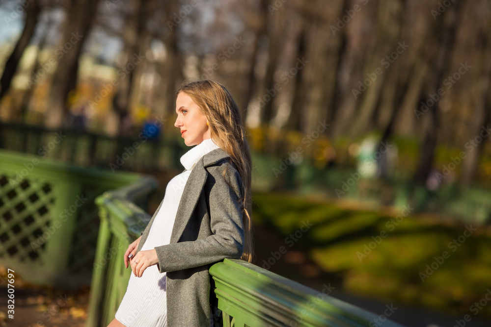 Beautiful girl with light brown hair near the fence in the park. Beautiful girl with light brown hair near the fence in the park.