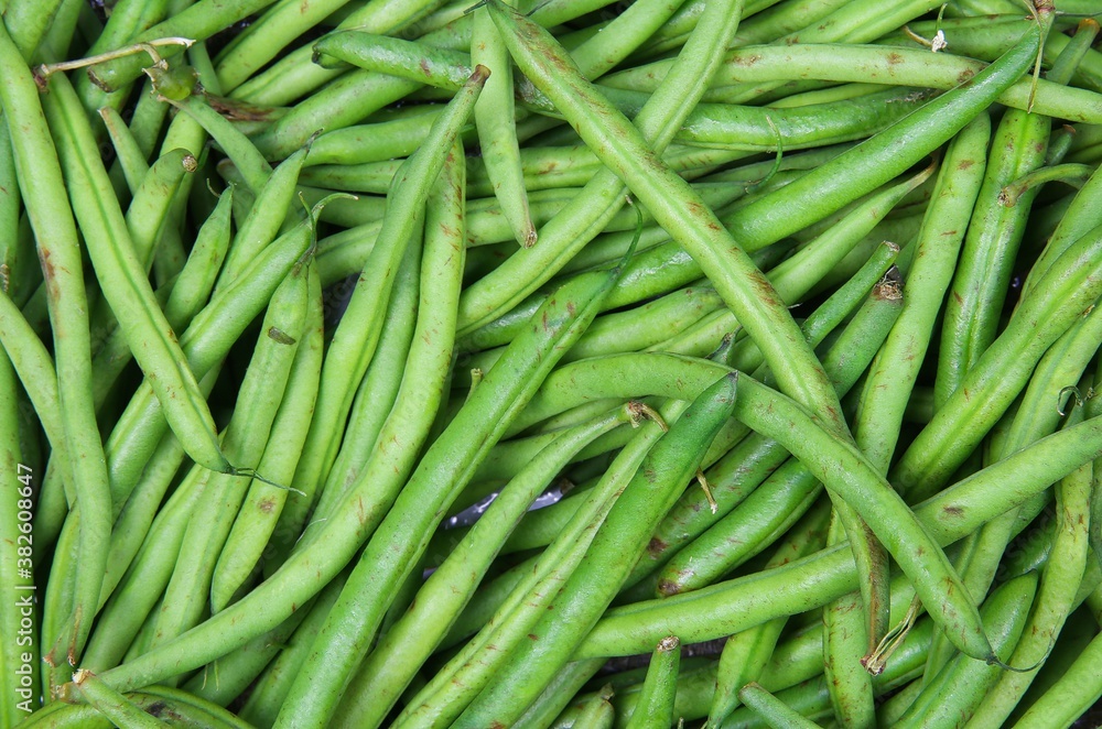 Closeup of isolated fresh green raw green bush beans (phaseolus vulgaris) Closeup of isolated fresh green raw green bush beans (phaseolus vulgaris)