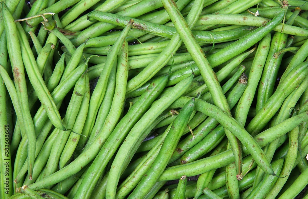 Closeup of isolated fresh green raw green bush beans (phaseolus vulgaris) Closeup of isolated fresh green raw green bush beans (phaseolus vulgaris)