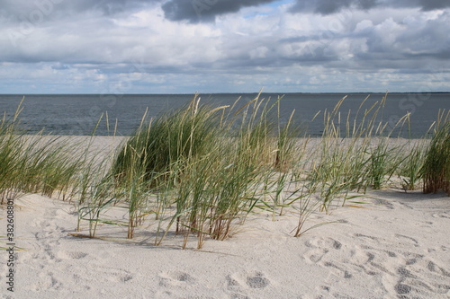Being isolated in the dunes at Ellenbogen in the North of Sylt close to the village of List 