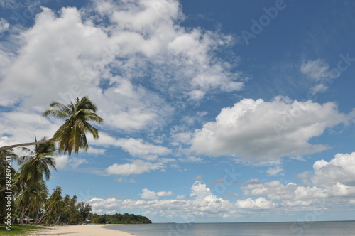 Coconut tree or palm tree on the Beach and Touched tropical beach with blue sky white clouds in Chumphon Province   Thailand