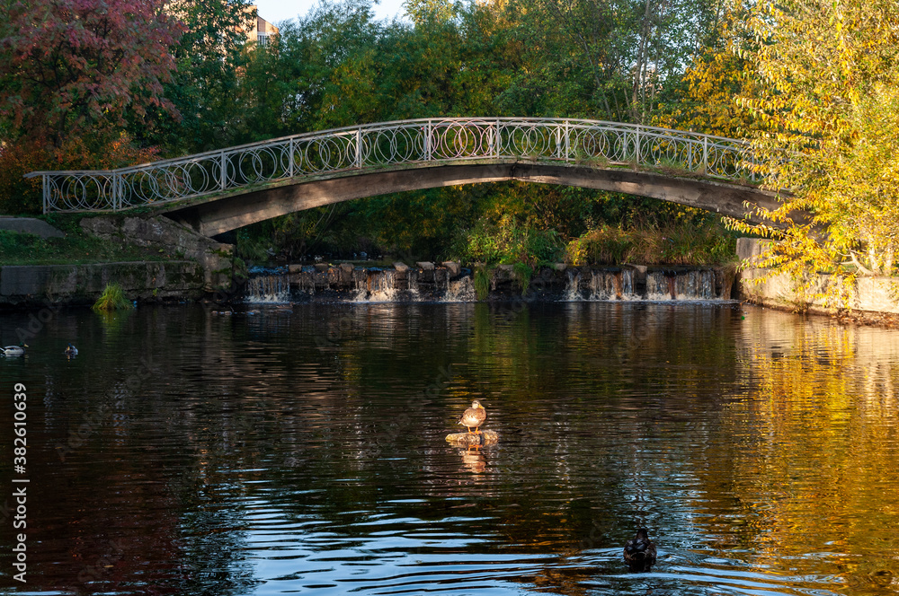 a small pedestrian bridge over the river with ducks.